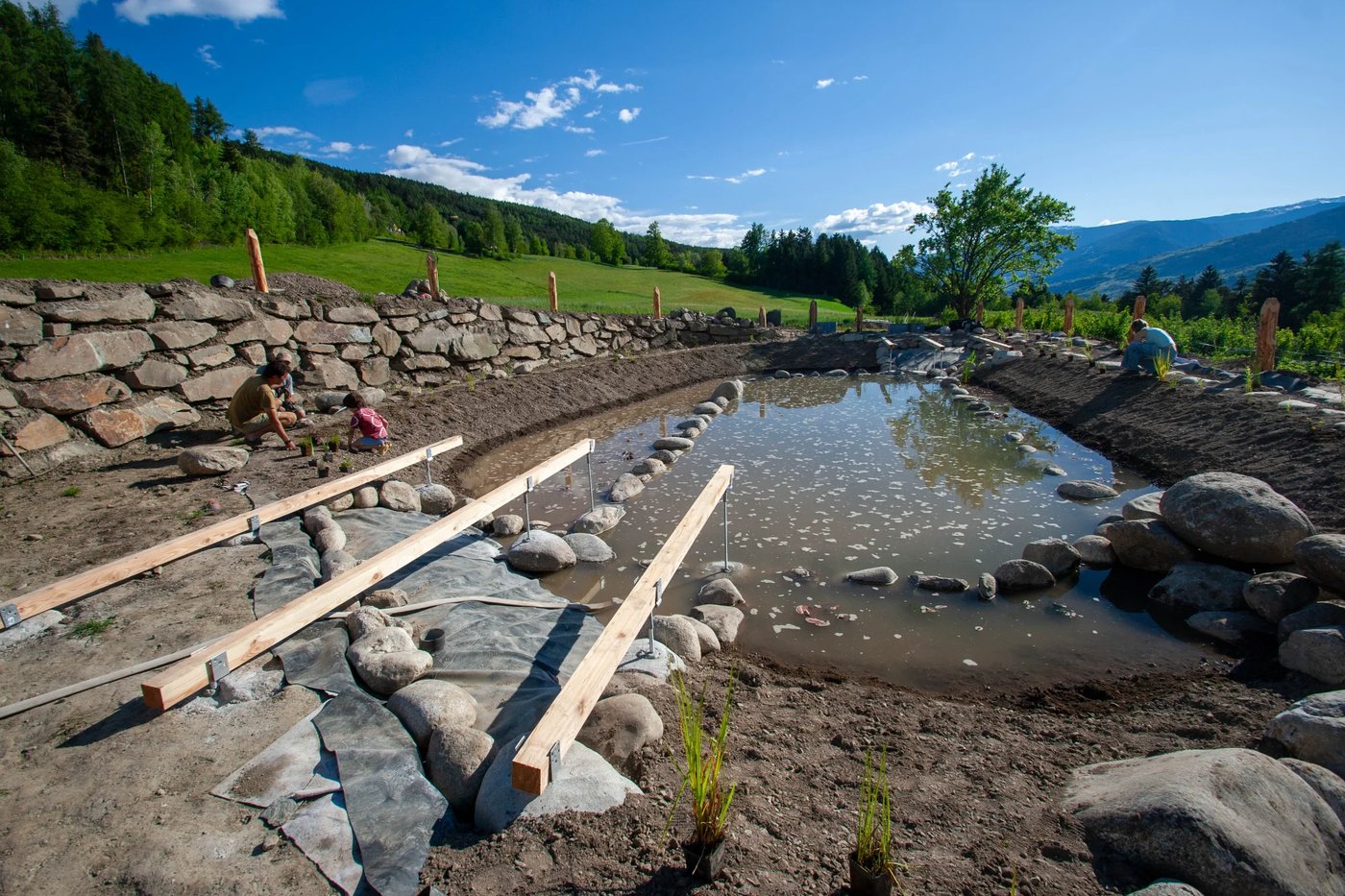Schwimmteich Mellaun – Bepflanzung
