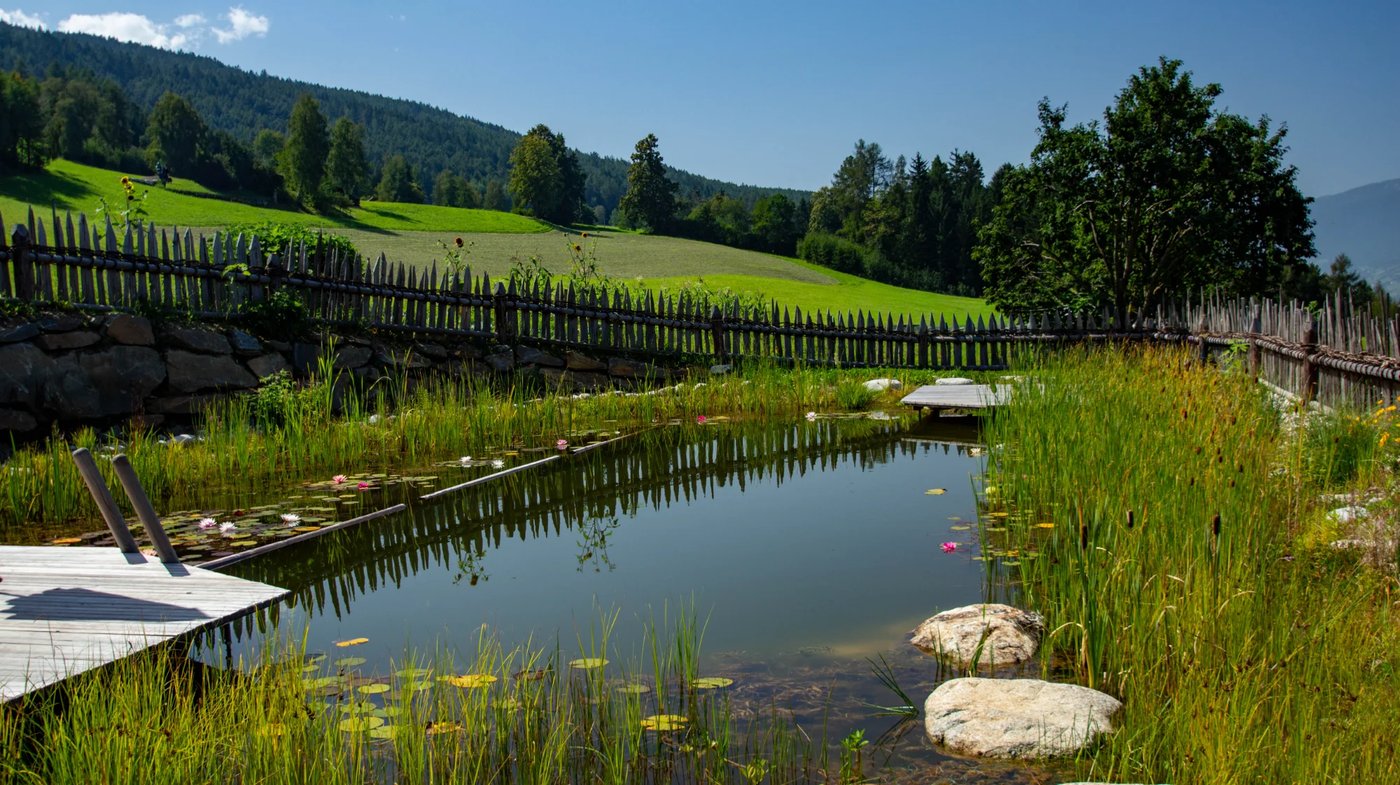 Schwimmteich Mellaun – Teich nach 2 Jahren
